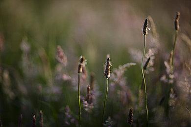 Epic喜加一：《骑士精神2》免费领、下周神秘游戏